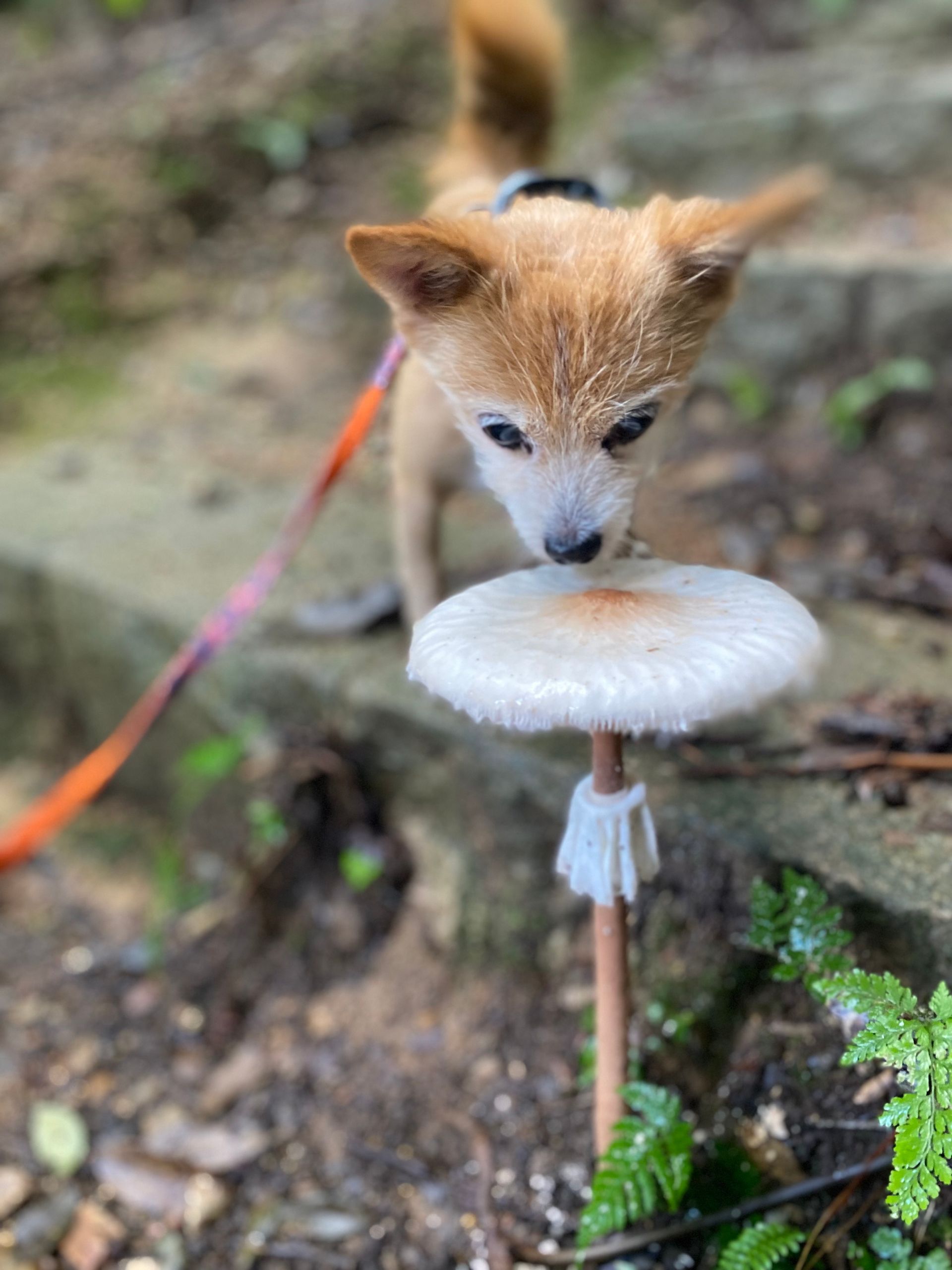 1221d241-55c3-4e7f-b22d-ddf80df441b0