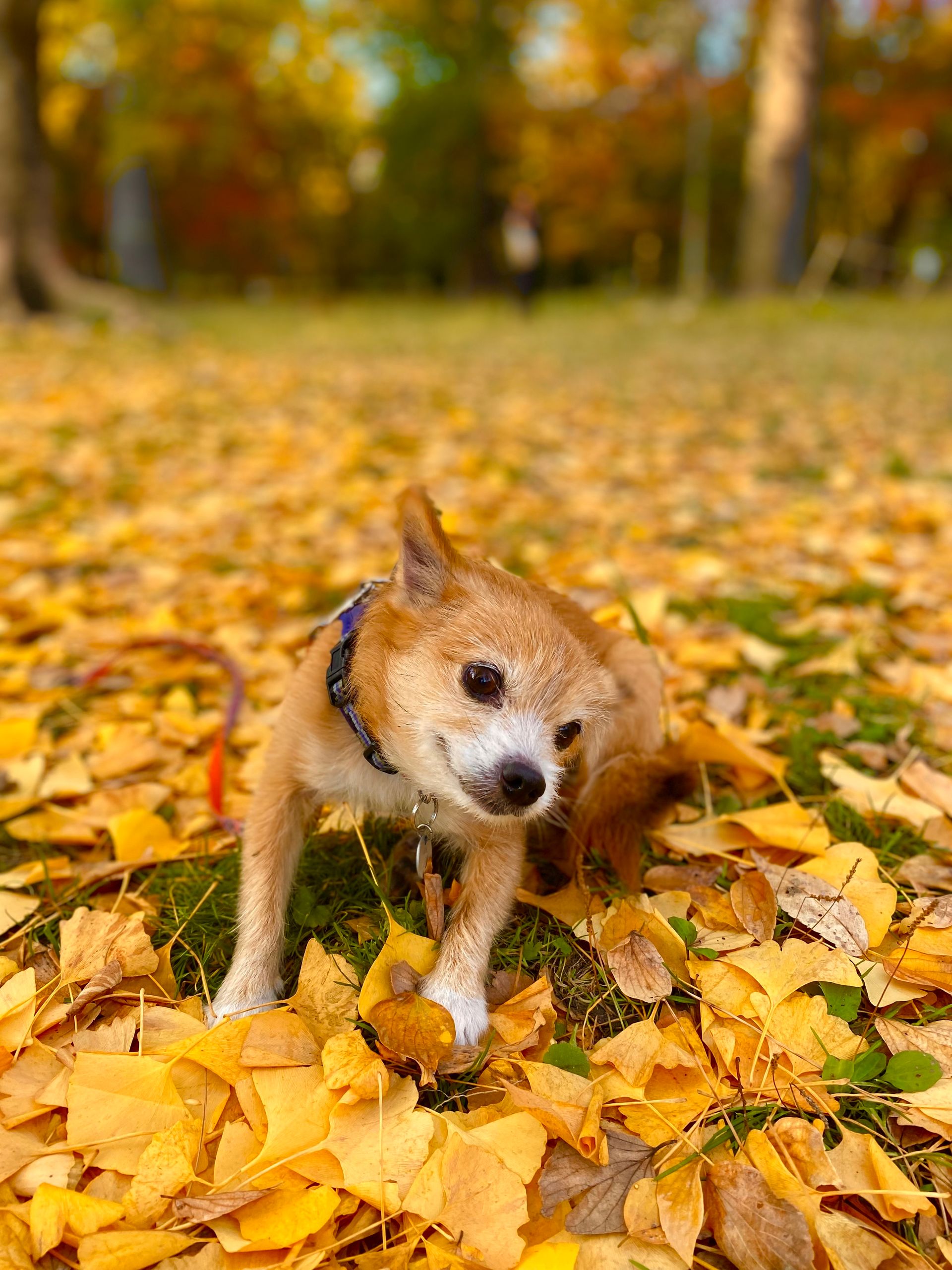 1a5f8bd9-05a4-42e0-87a3-5ae2301abddc