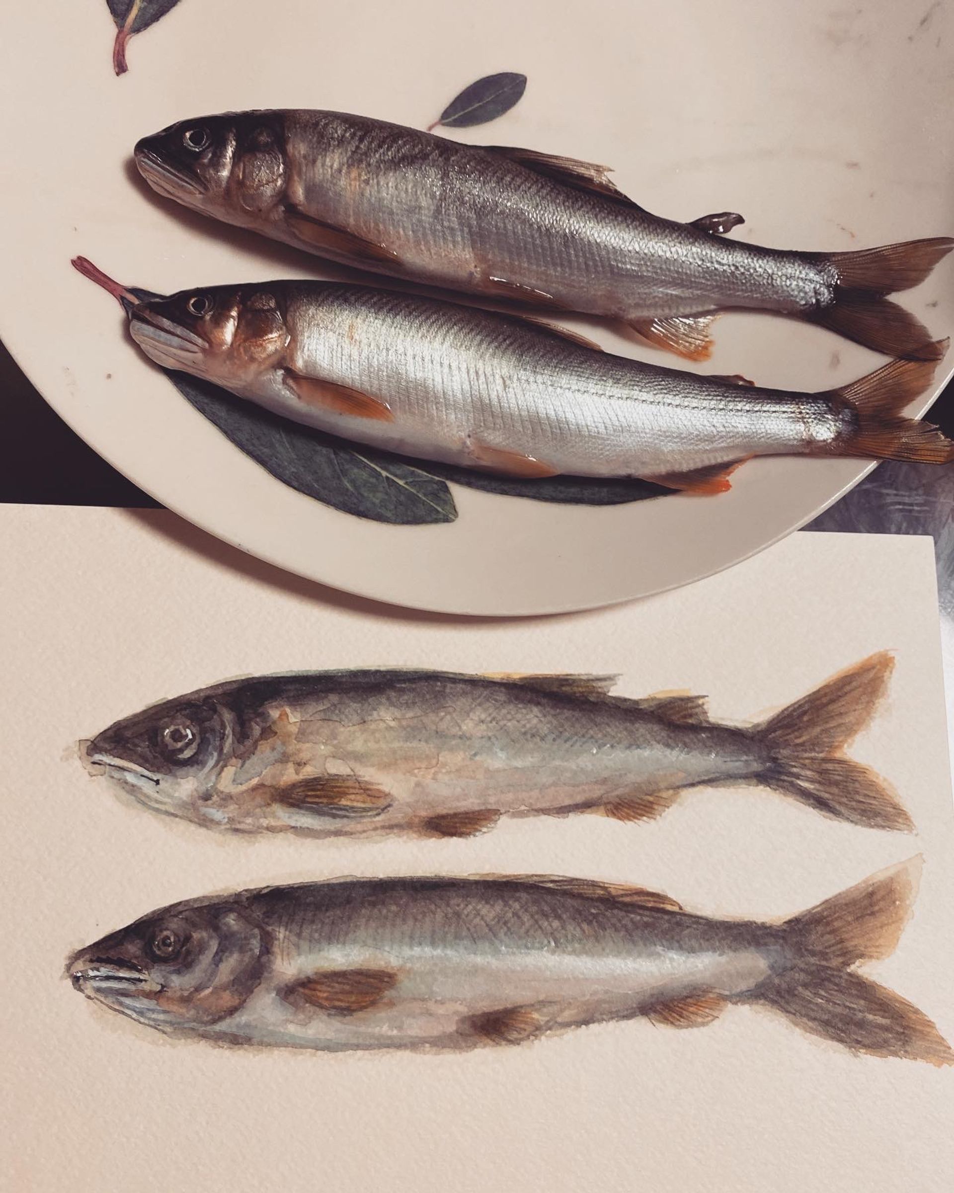 303b47e1-3a7f-40de-ab92-3b9a4529c934