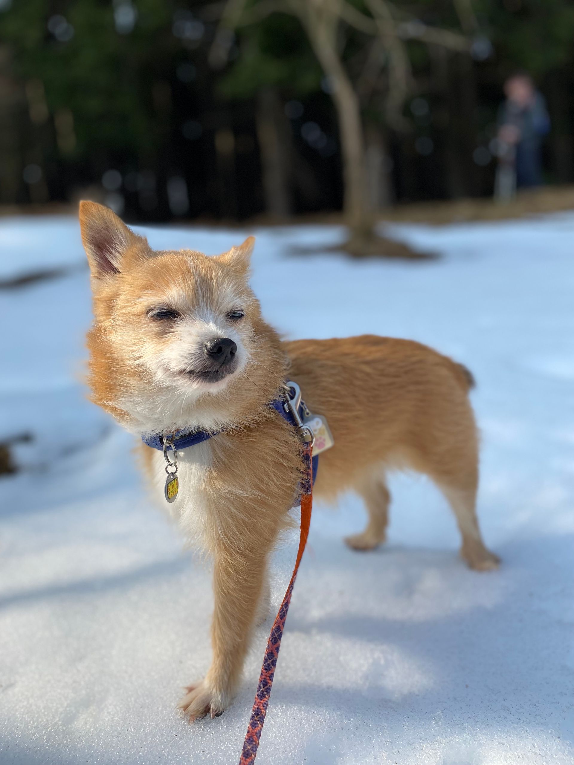 4016a5df-ff4d-42b6-8803-bc695c8ede56