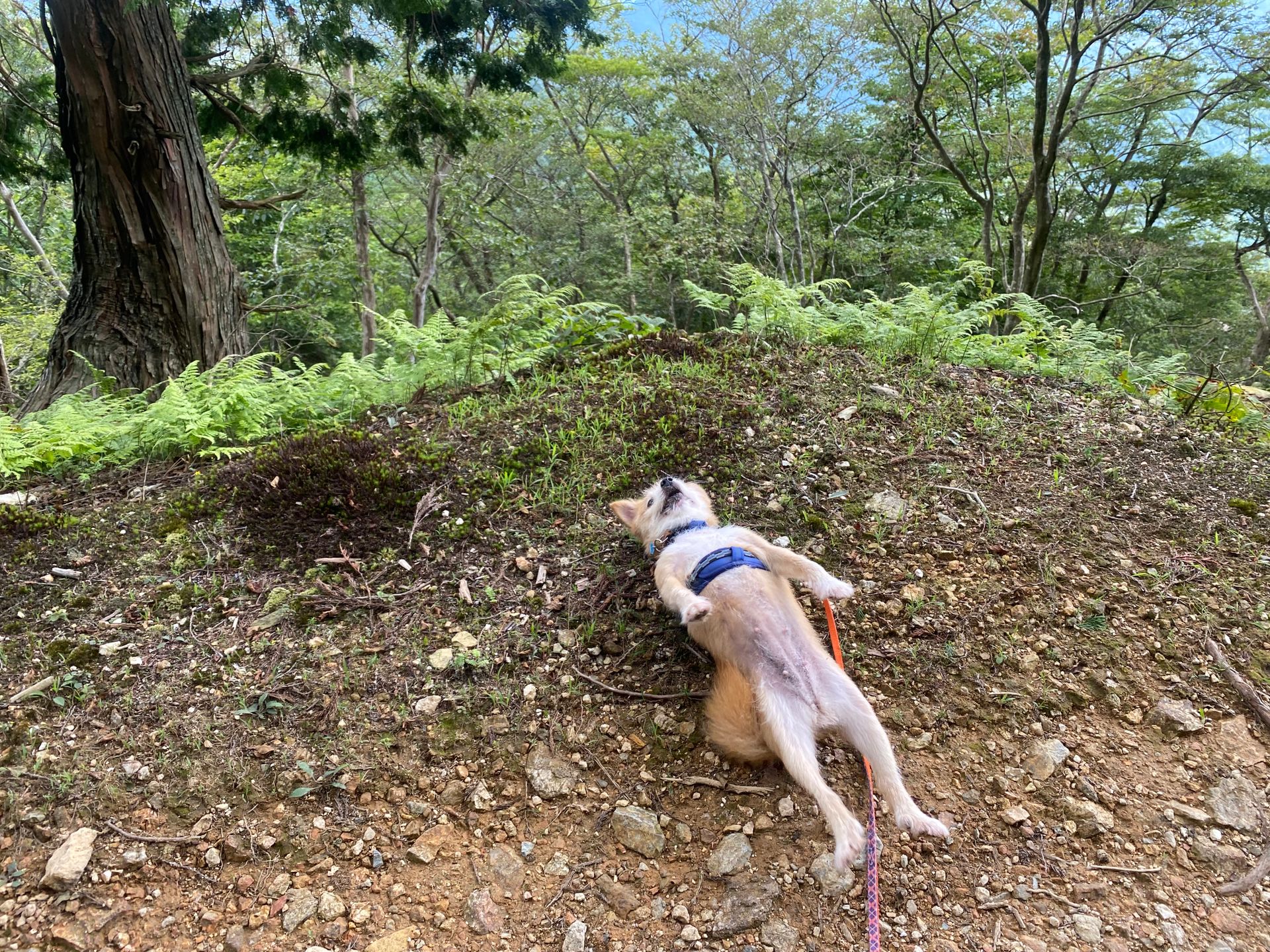 46ca5188-a205-4ba1-96ed-57d1b1514cb6