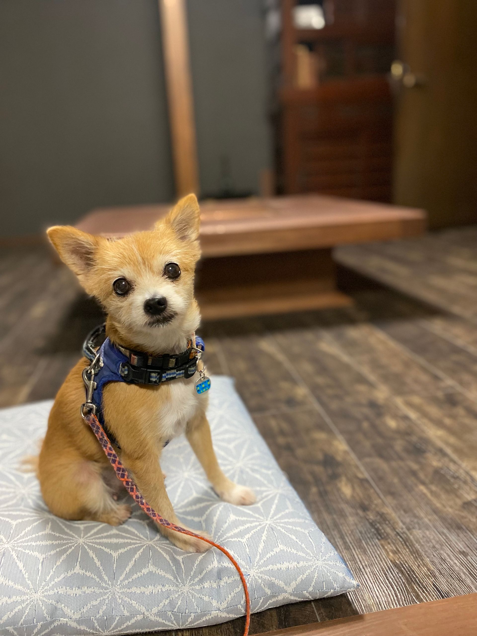 5cd7763b-5393-4748-af91-100ef87e5963