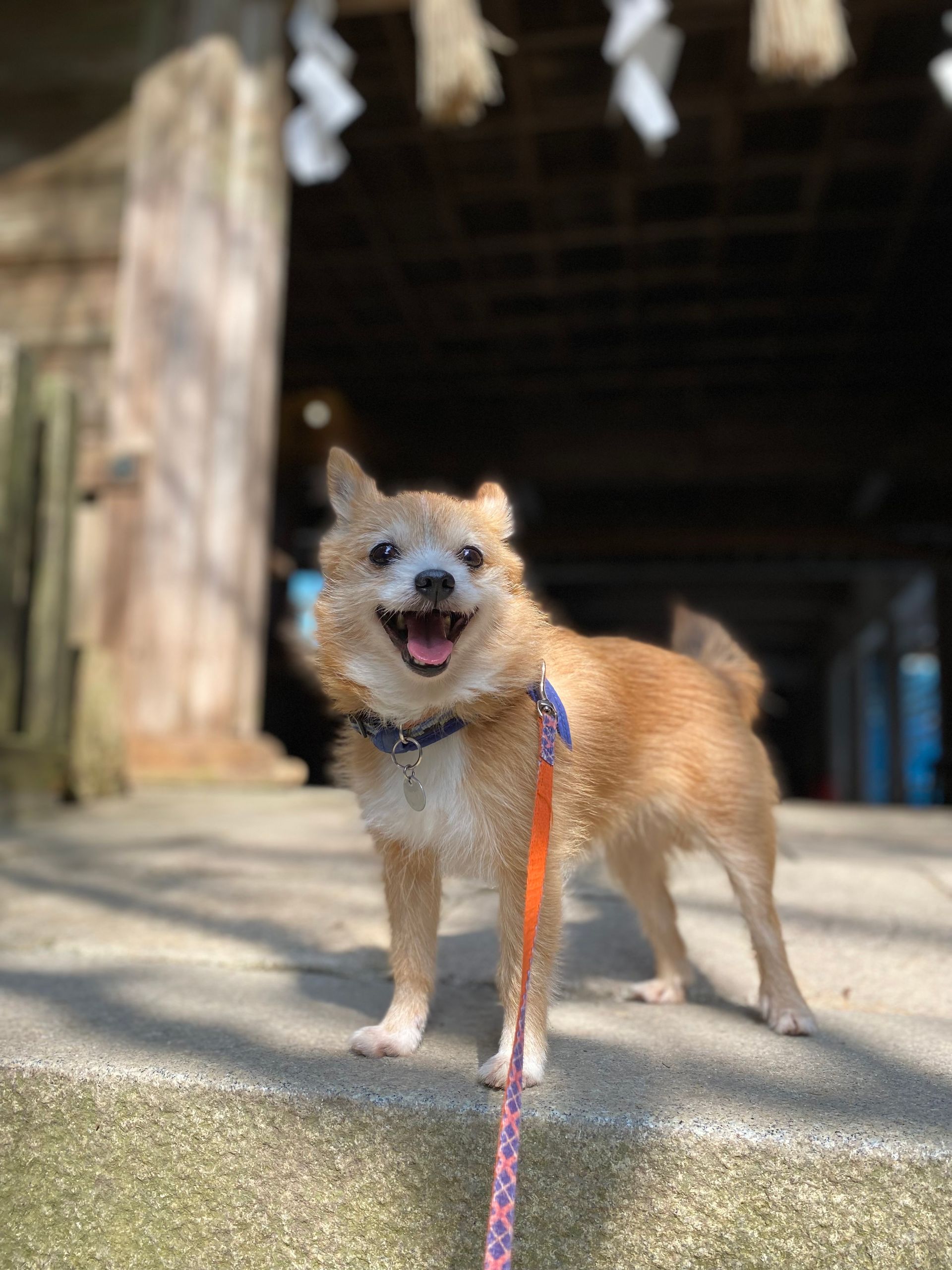 7d7a8ff8-a66c-442d-bf6e-3a12a8bb9bc9