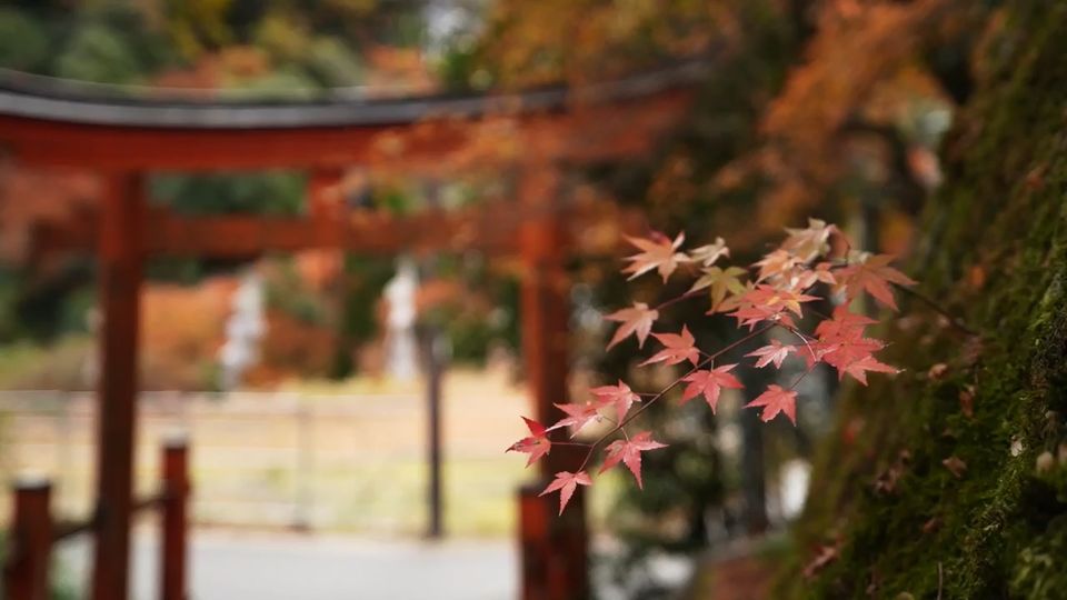 愛宕山<br/>アナタリュー
