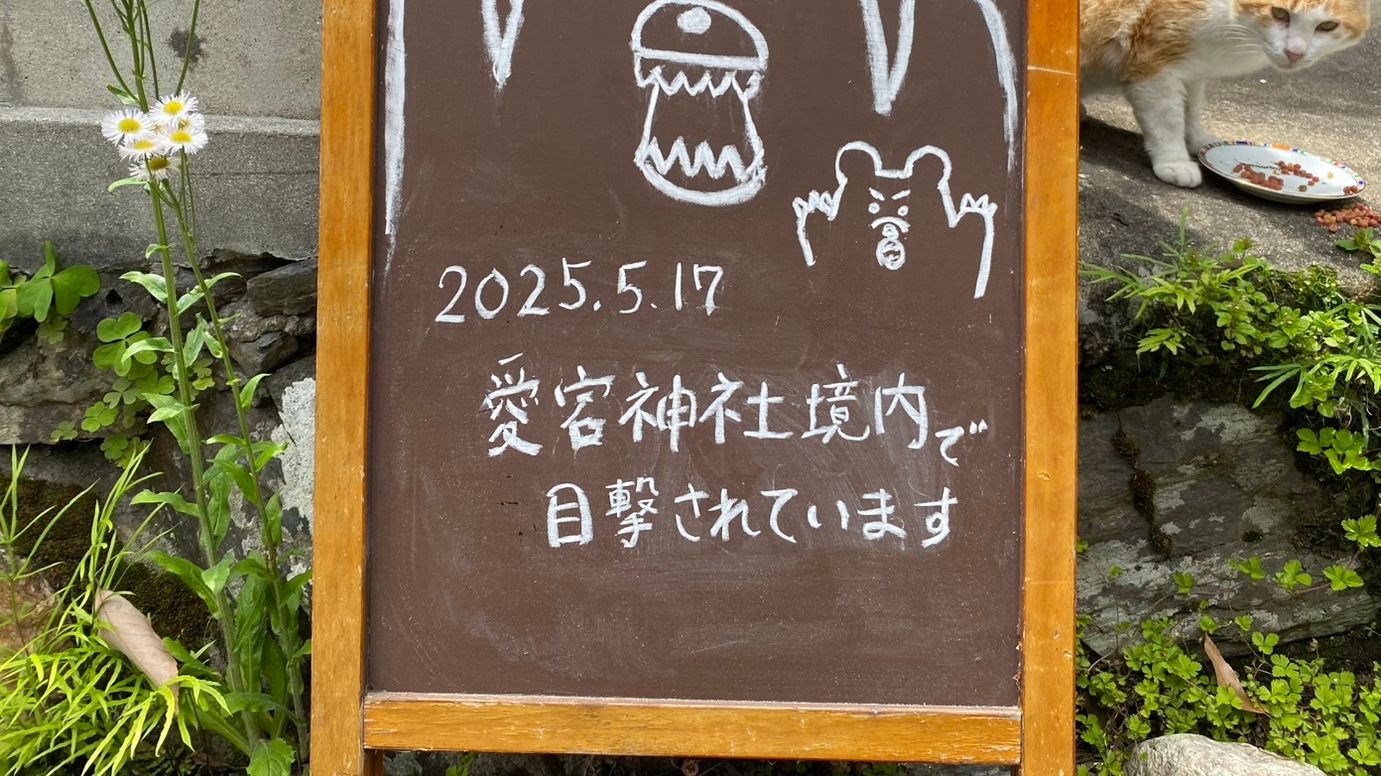 2025年5月17日　熊に注意